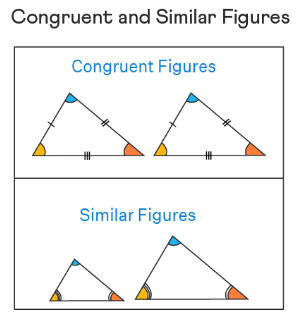 How to Find Similar and Congruent Figures?